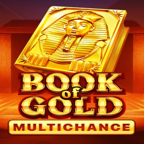 Book of Gold Multichance logo by Playson Winbeatz Casino