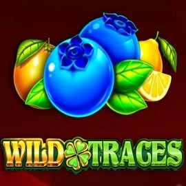 Wild Traces game by Amusnet Interactive – logo hosted on Winbeatz Casino